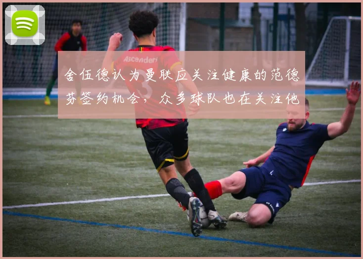 舍伍德认为曼联应关注健康的范德芬签约机会，众多球队也在关注他